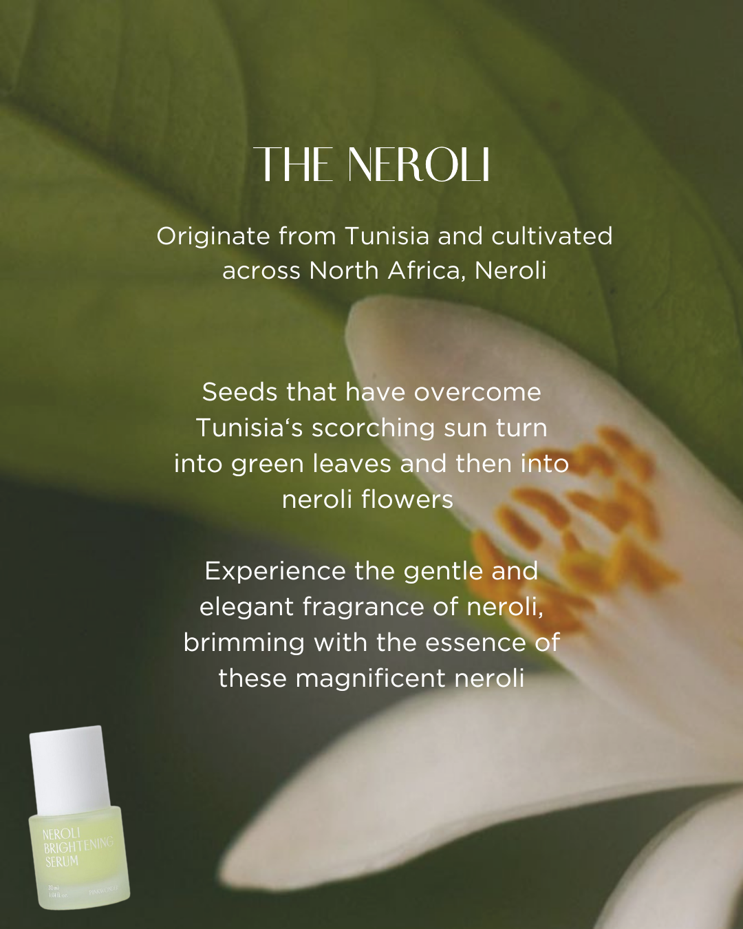 PINKWONDER Neroli Brightening Serum