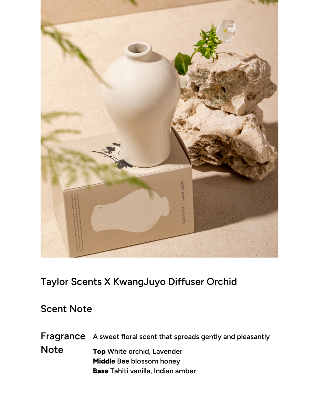 taylor scents x Kwangjuyo Maebyeong Diffuser (4 types)