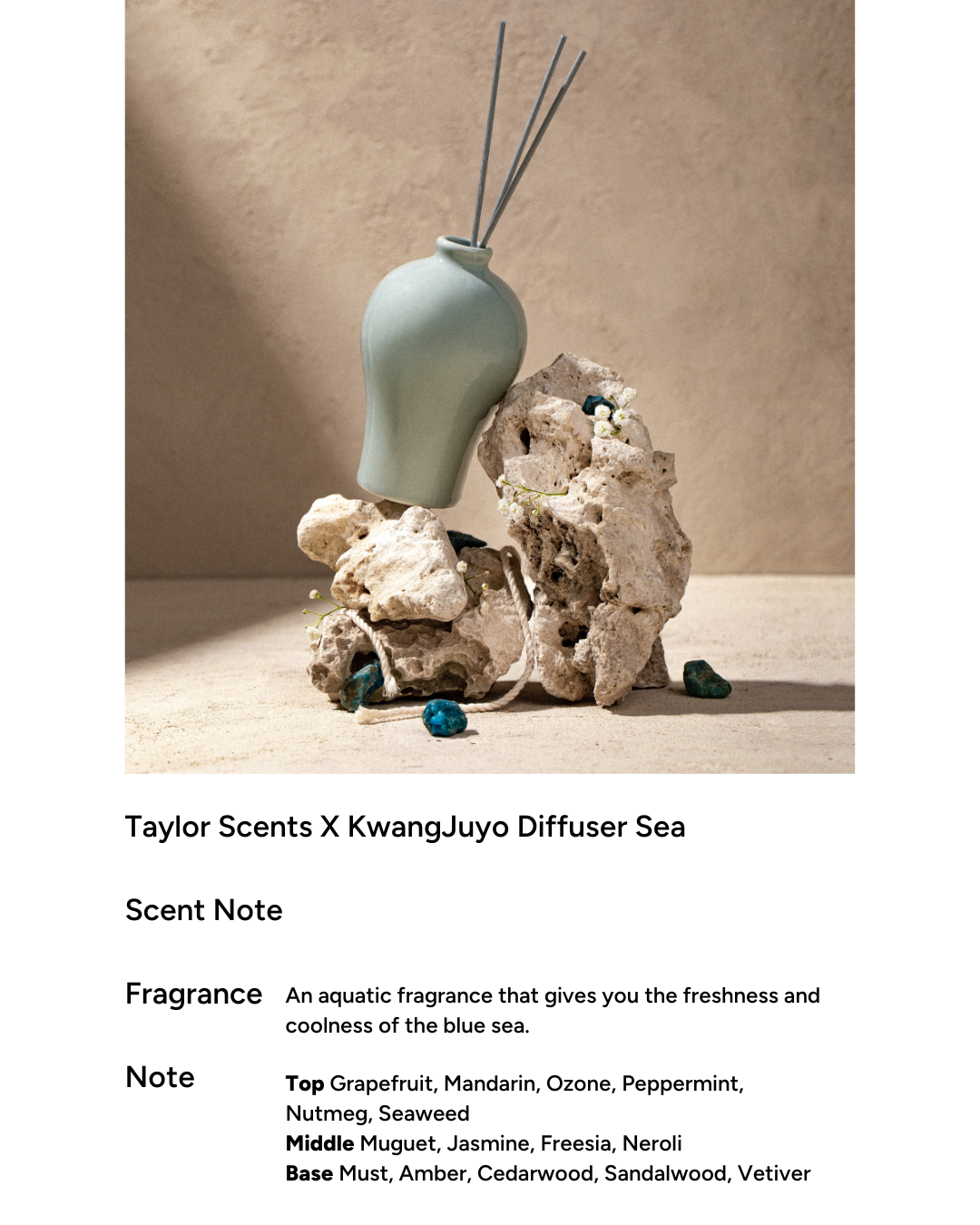 taylor scents x Kwangjuyo Maebyeong Diffuser (4 types)