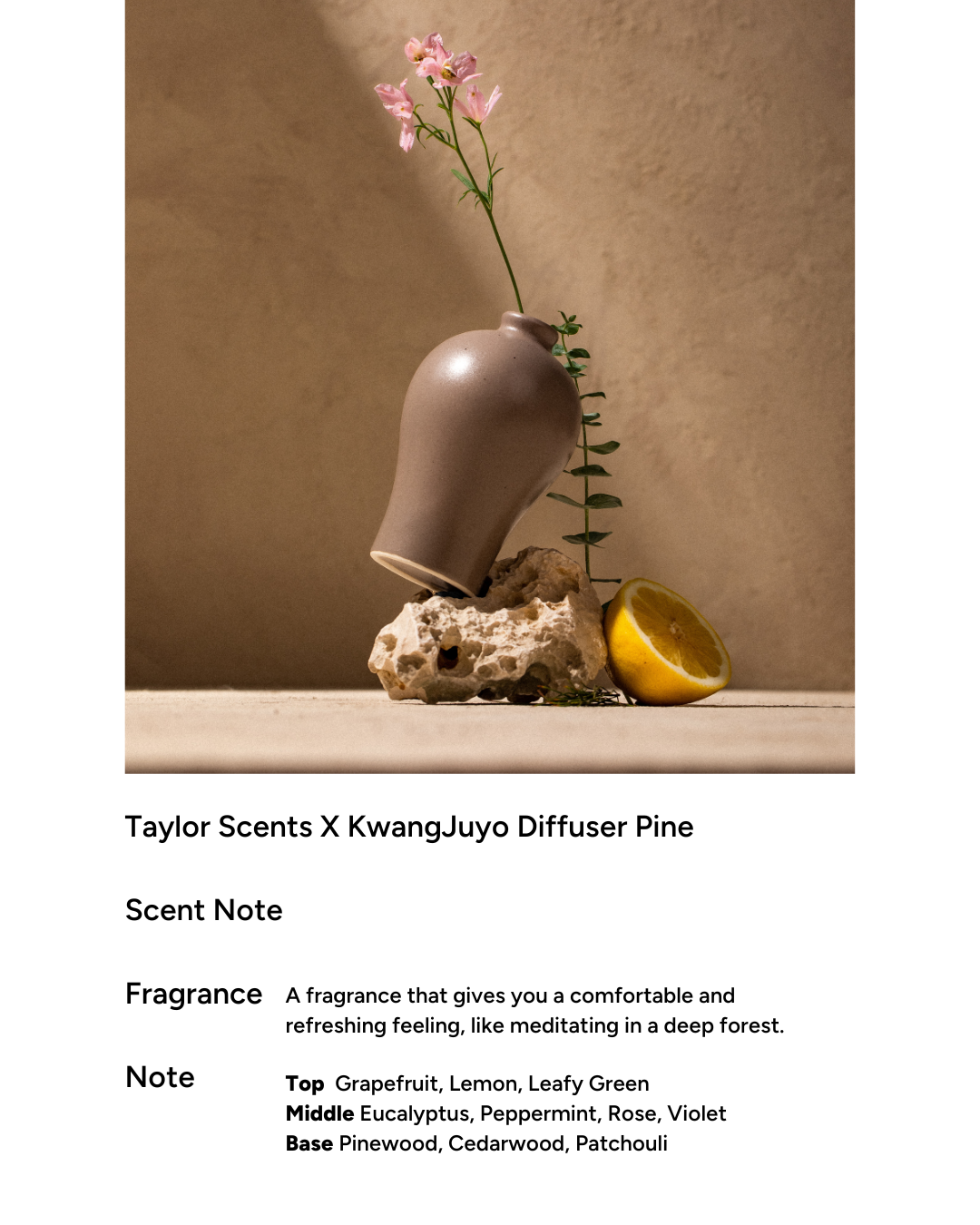 taylor scents x Kwangjuyo Maebyeong Diffuser (4 types)