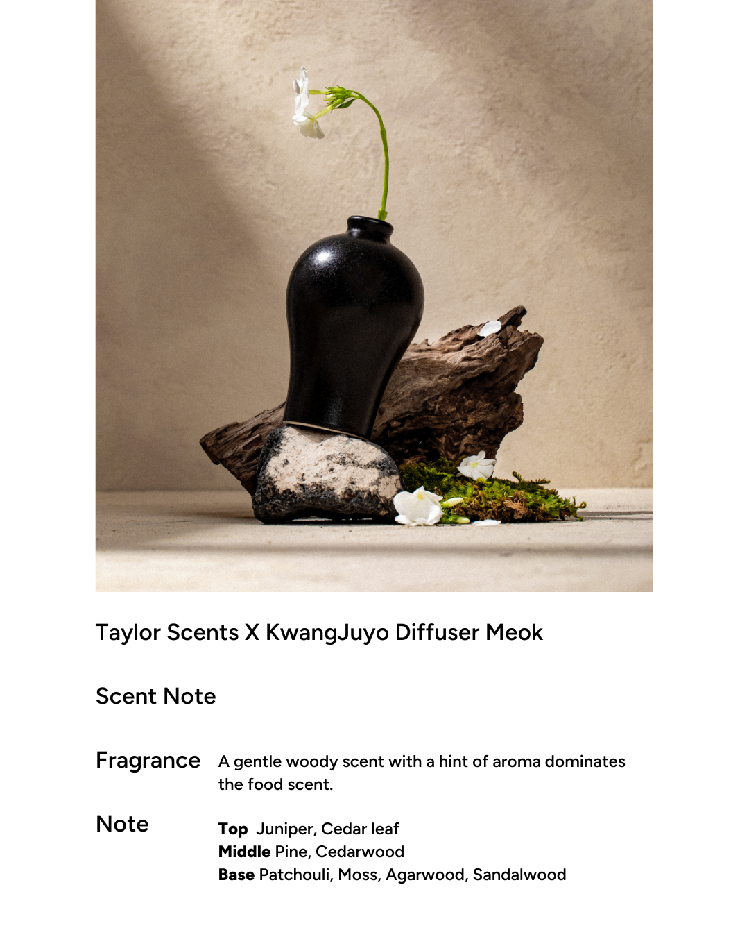 taylor scents x Kwangjuyo Maebyeong Diffuser (4 types)