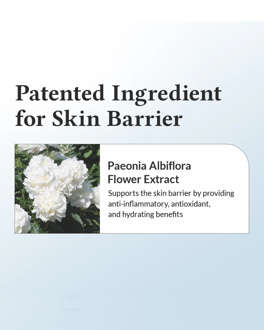 Dr. Althea 147 Barrier Cream (50ml)