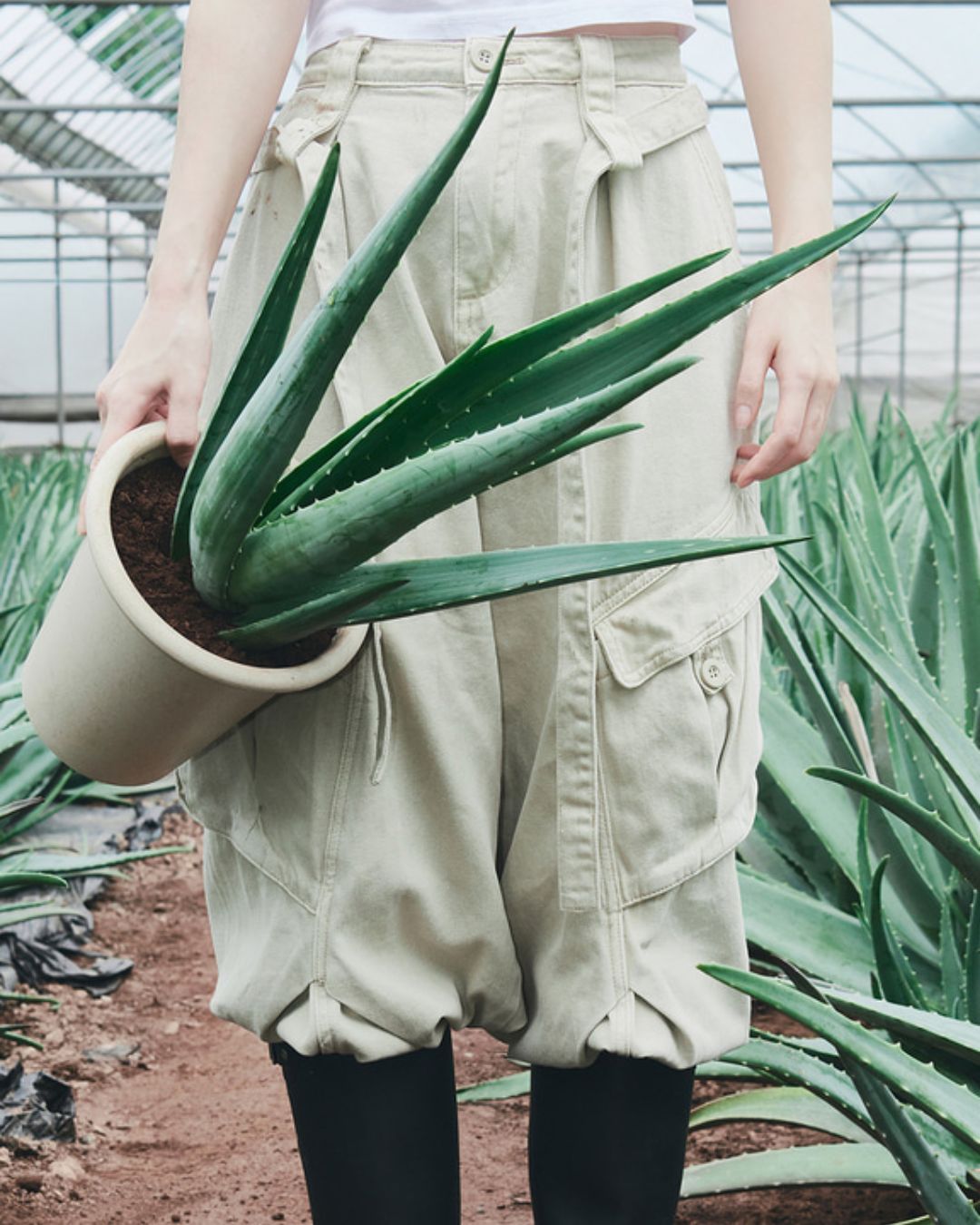 glow aloe barrier support moisturizer