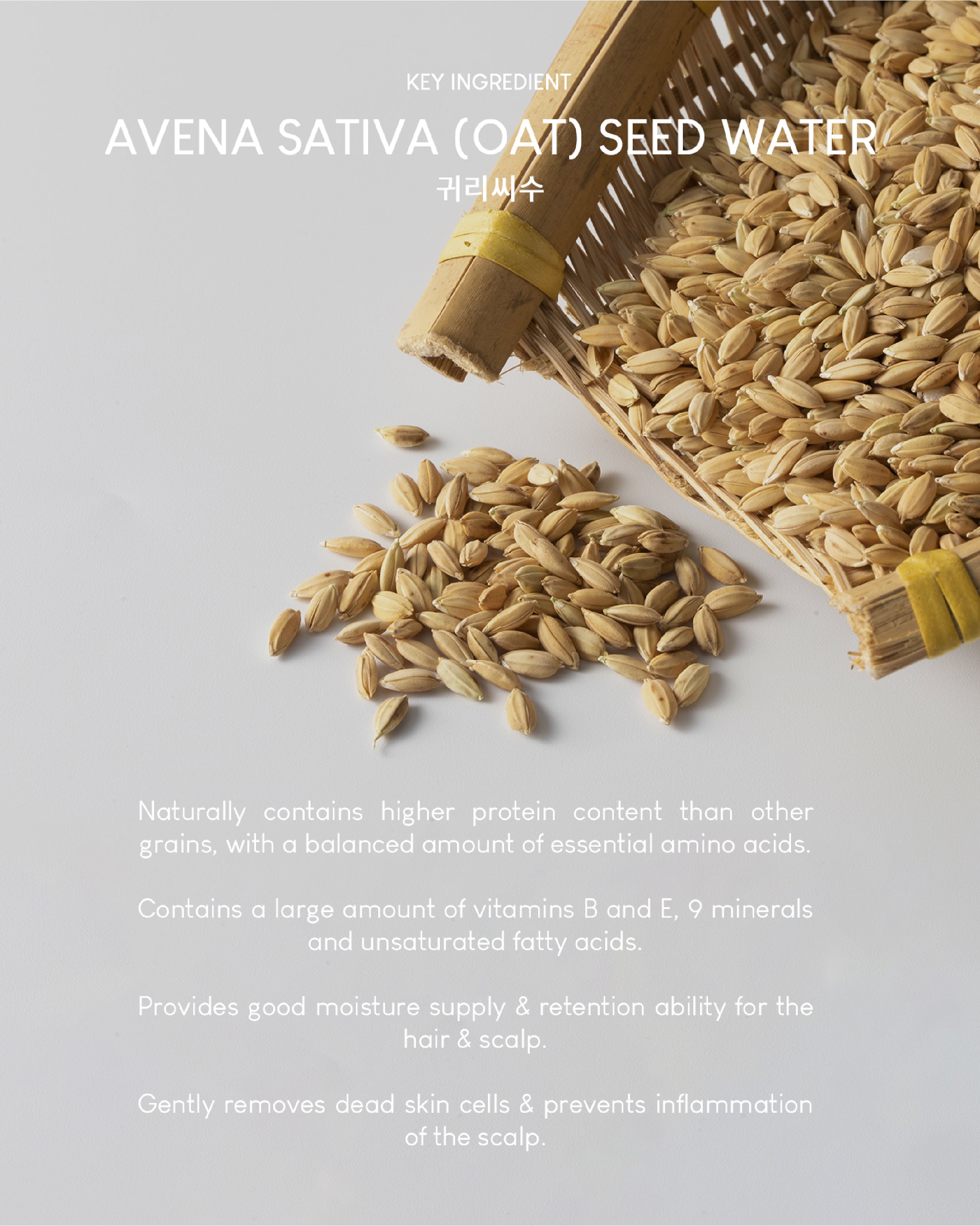 Jung Beauty Damage Repair Keratin Shampoo