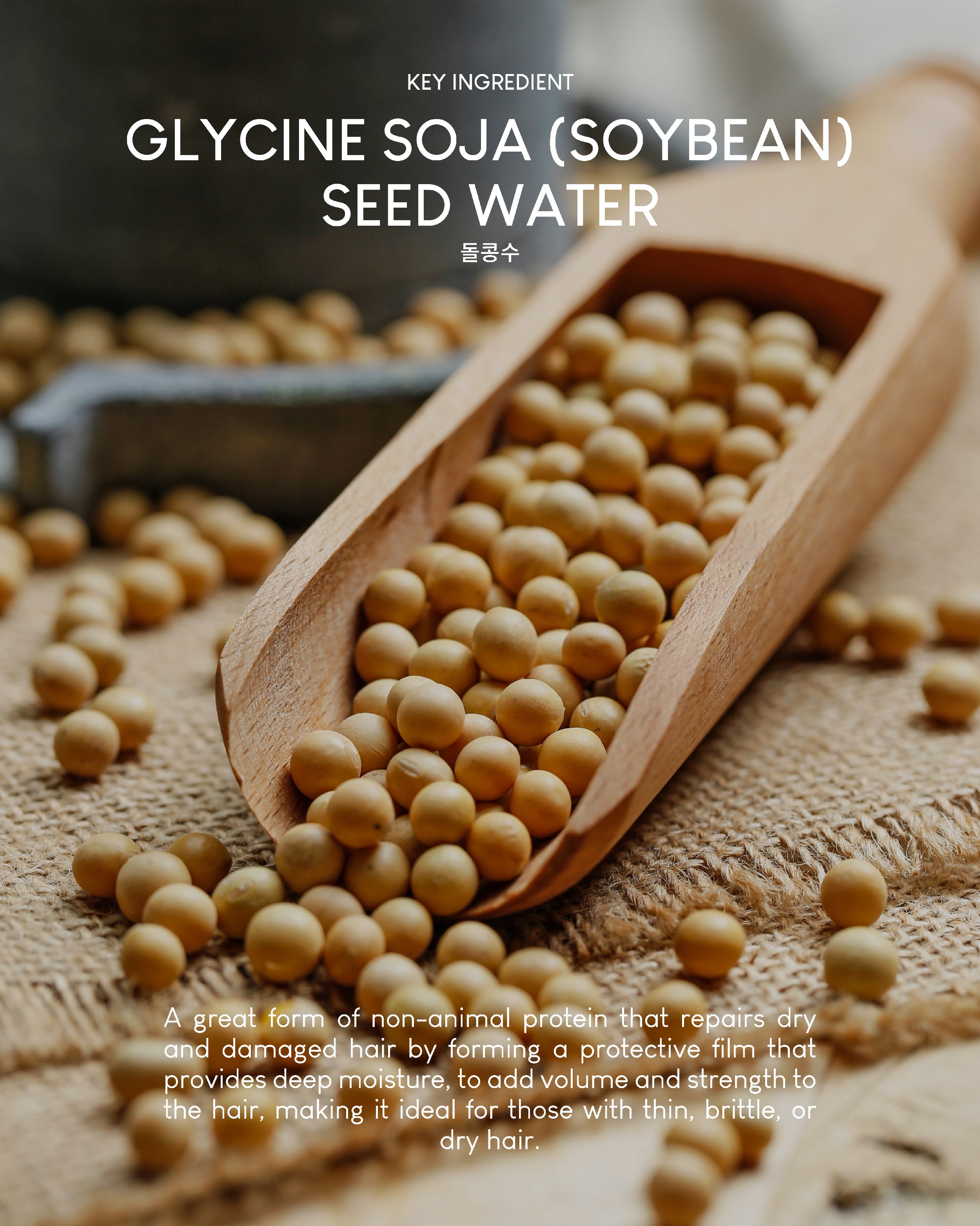 Jung Beauty Damage Repair Keratin Shampoo