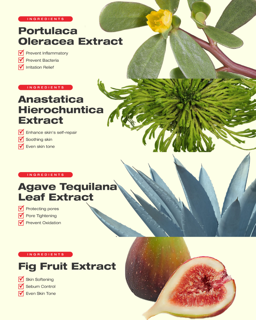 laundryou Soft Body Red Glove Clean (5EA)