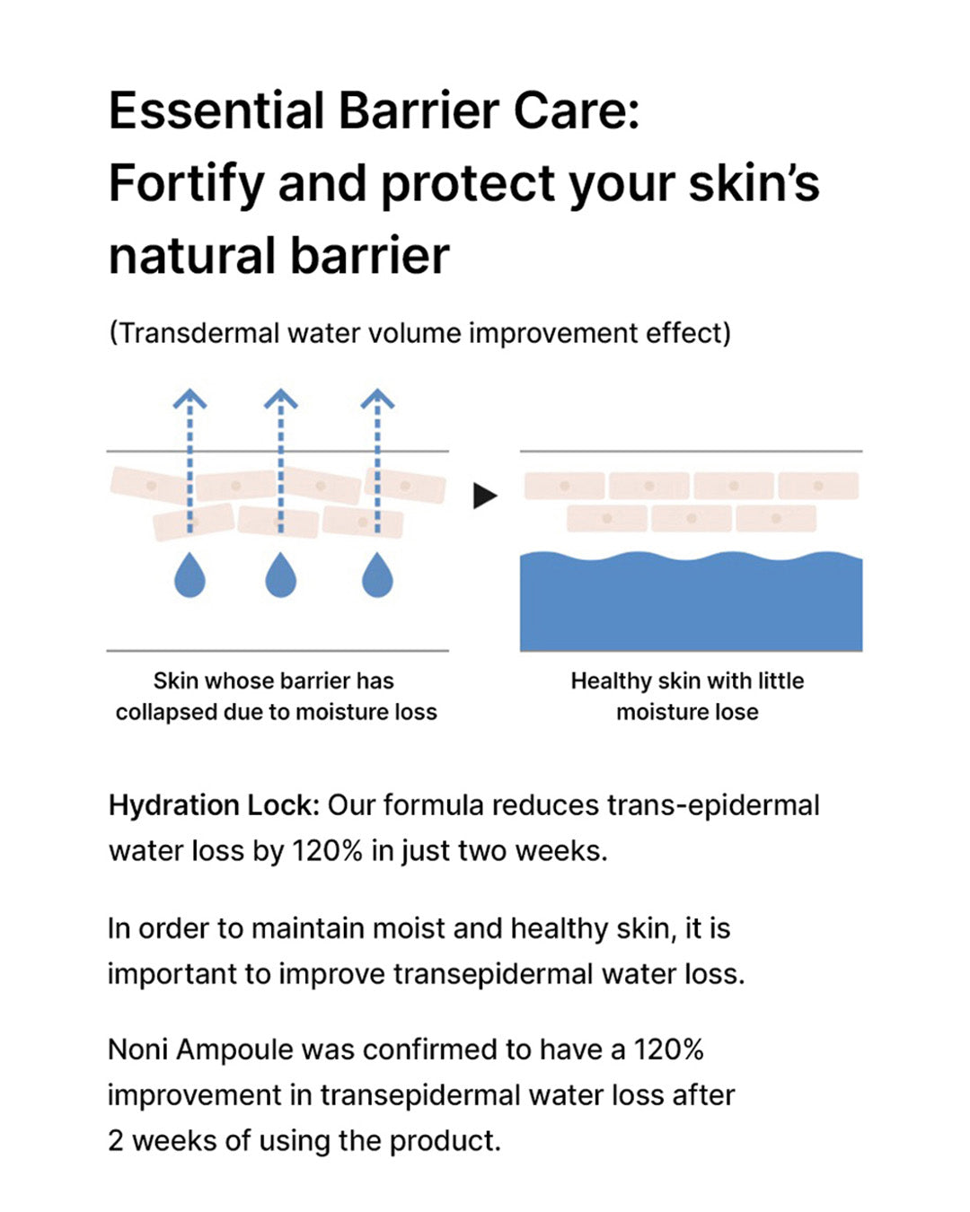 celimax The Real Noni Energy Ampoule 50ml/ 100ml