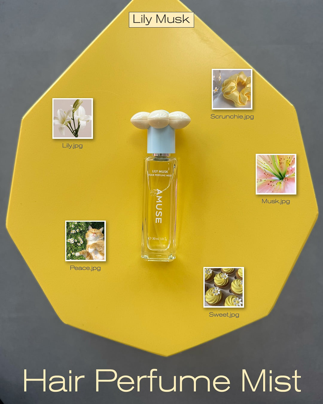 AMUSE Hair Perfume Mist 30ml (Regular Edition)