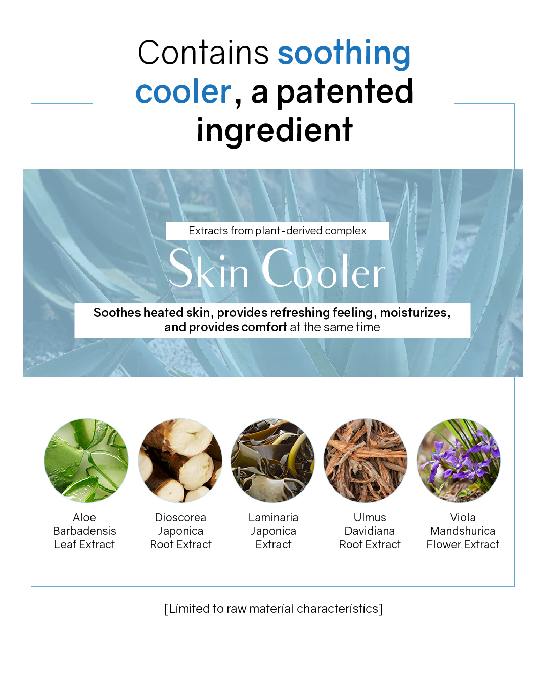 Lavien Derma Radiance Essence BB