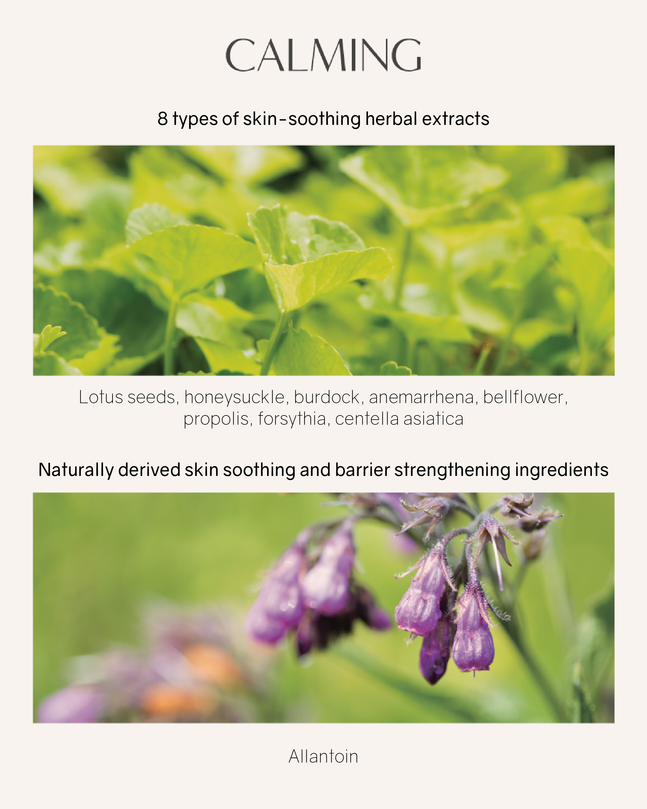 [PROMO] Lilibeth Perfect Fitting Full Coverage Cushion/ Refill SPF50+/PA+++ (Shade 21/23)