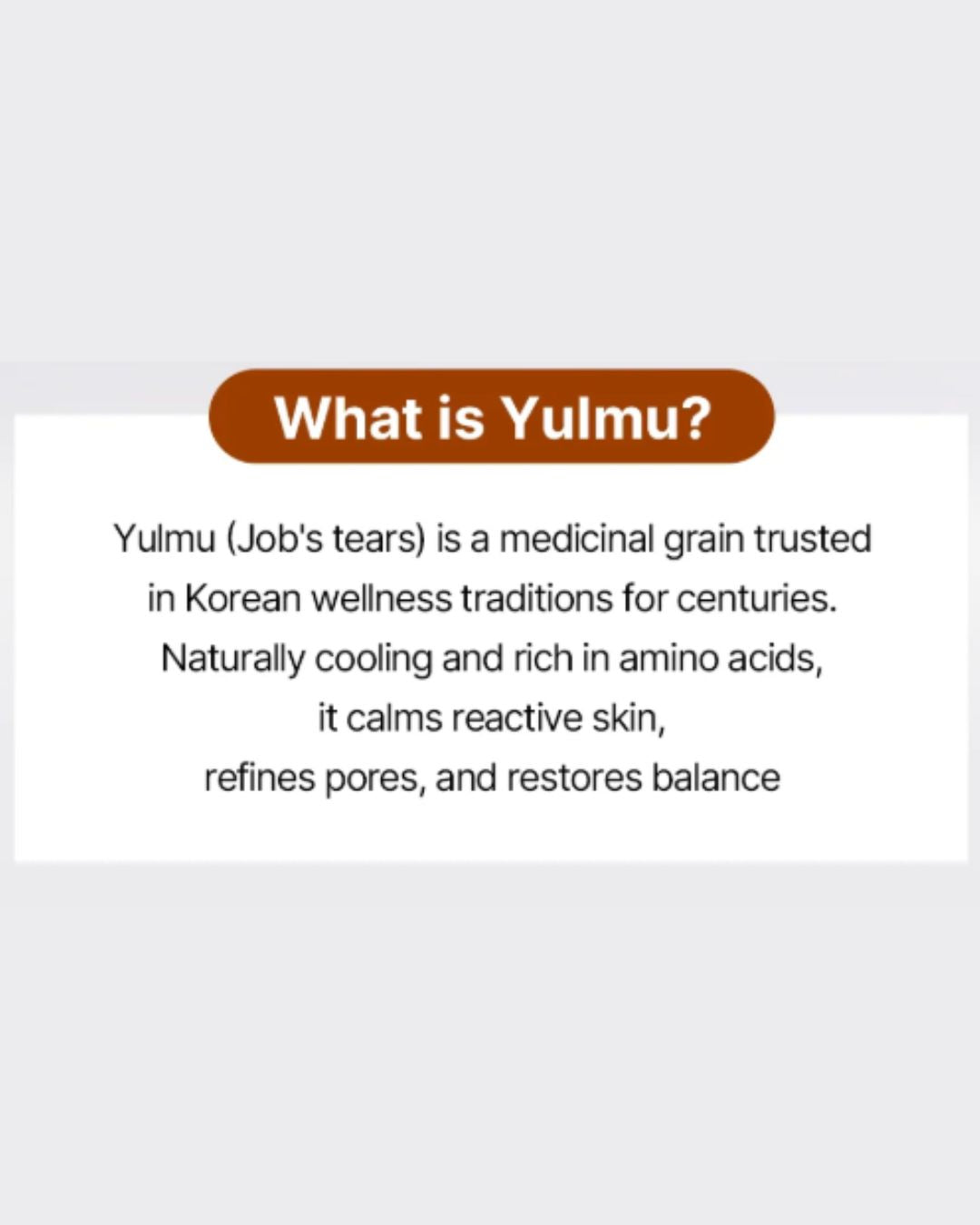 [PROMO] Returnity Yulmu Toner