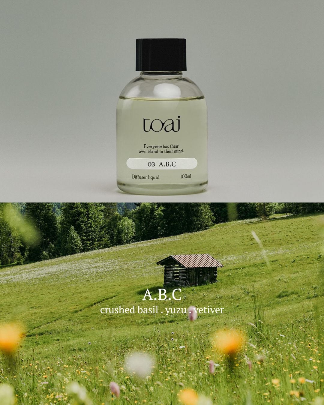 [PREORDER] Toai Diffusers (Dispatch Date: 23-27 Nov)