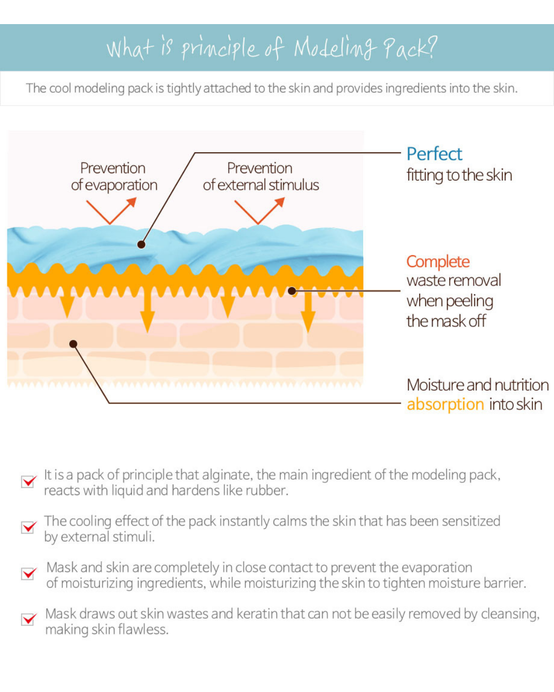[BOK] Lindsay Modeling Mask Cup Pack
