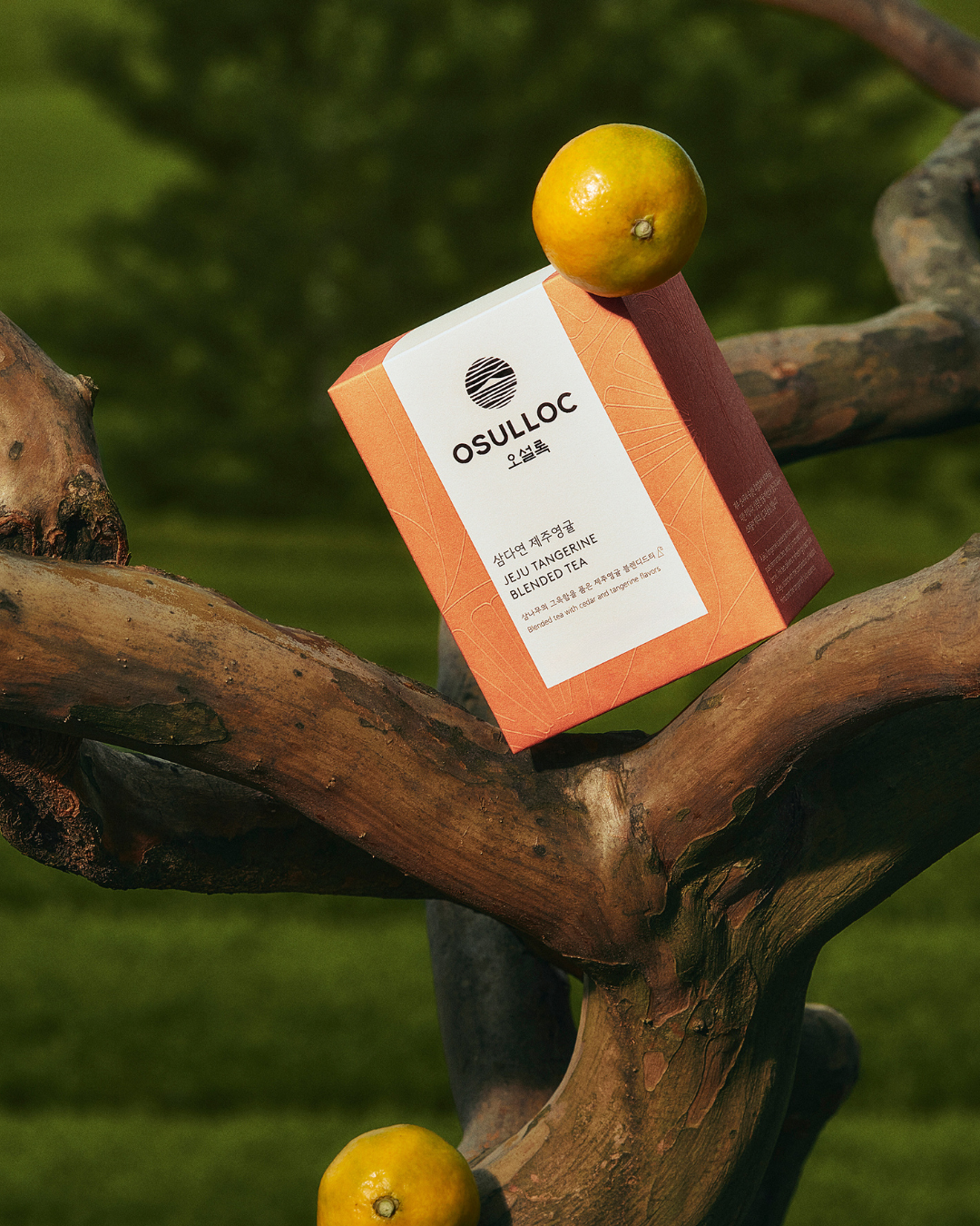 Osulloc Tea (3EA)