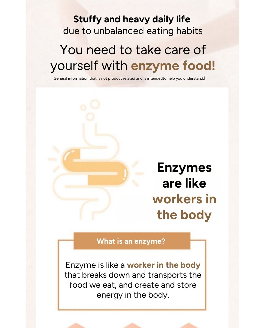 [Online Exclusive] Lavien Perfect Enzyme Balance