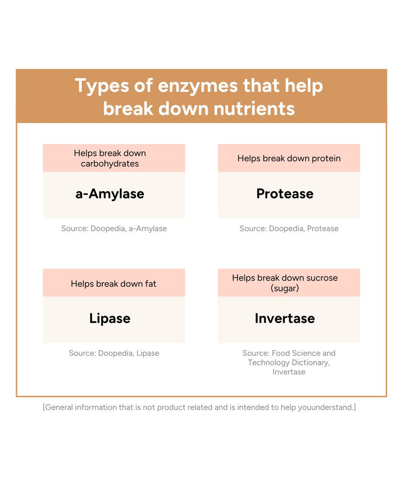 Lavien Perfect Enzyme Balance (NEW!)