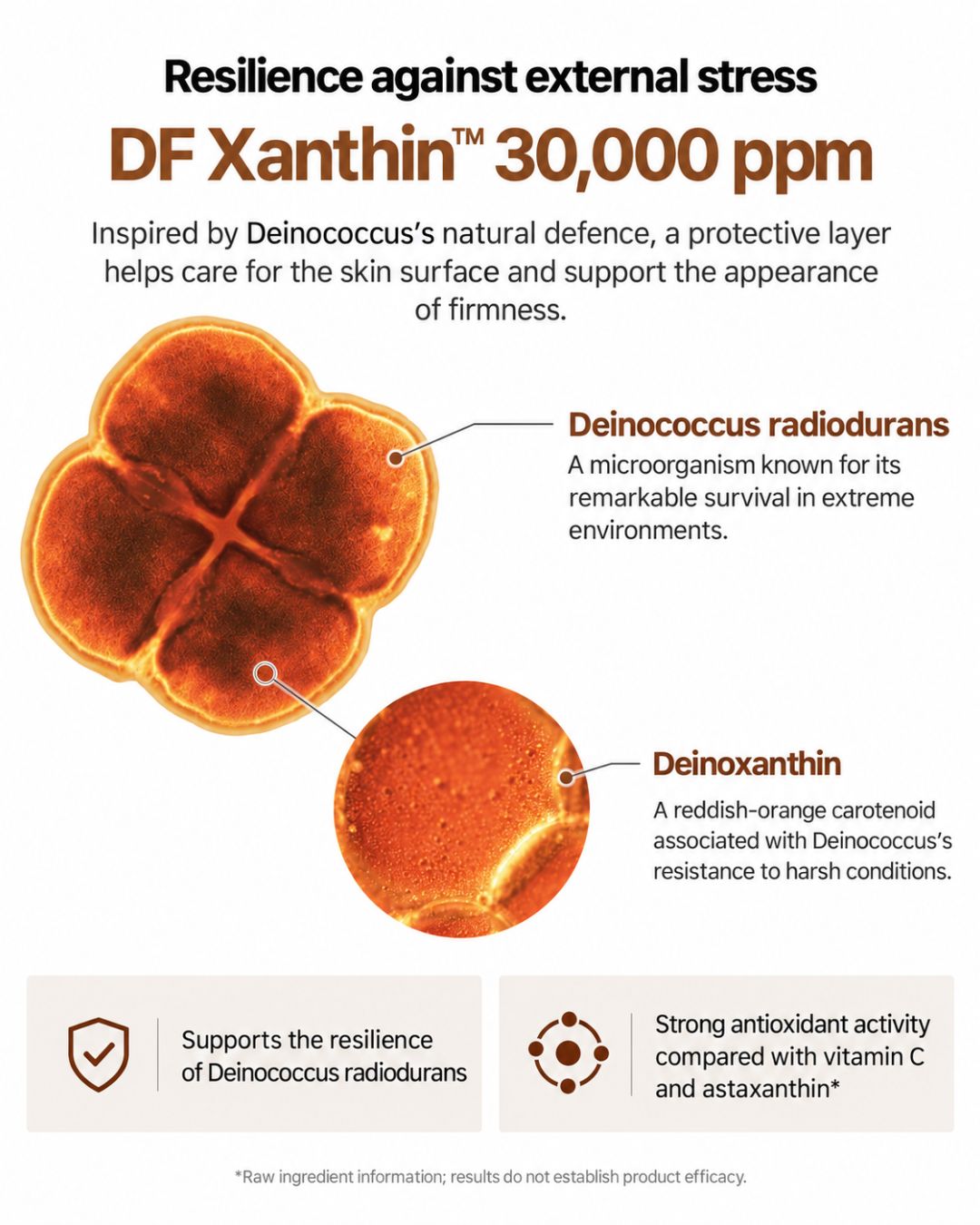 [PROMO] Lavien D.N.A Cell Revital Firming Cream