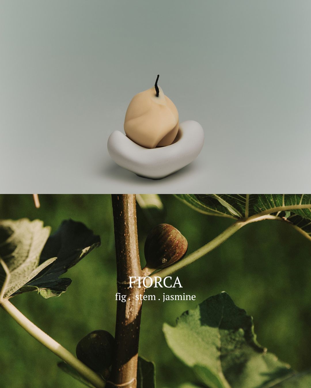 [PREORDER] Toai Diffusers (Dispatch Date: 23-27 Nov)