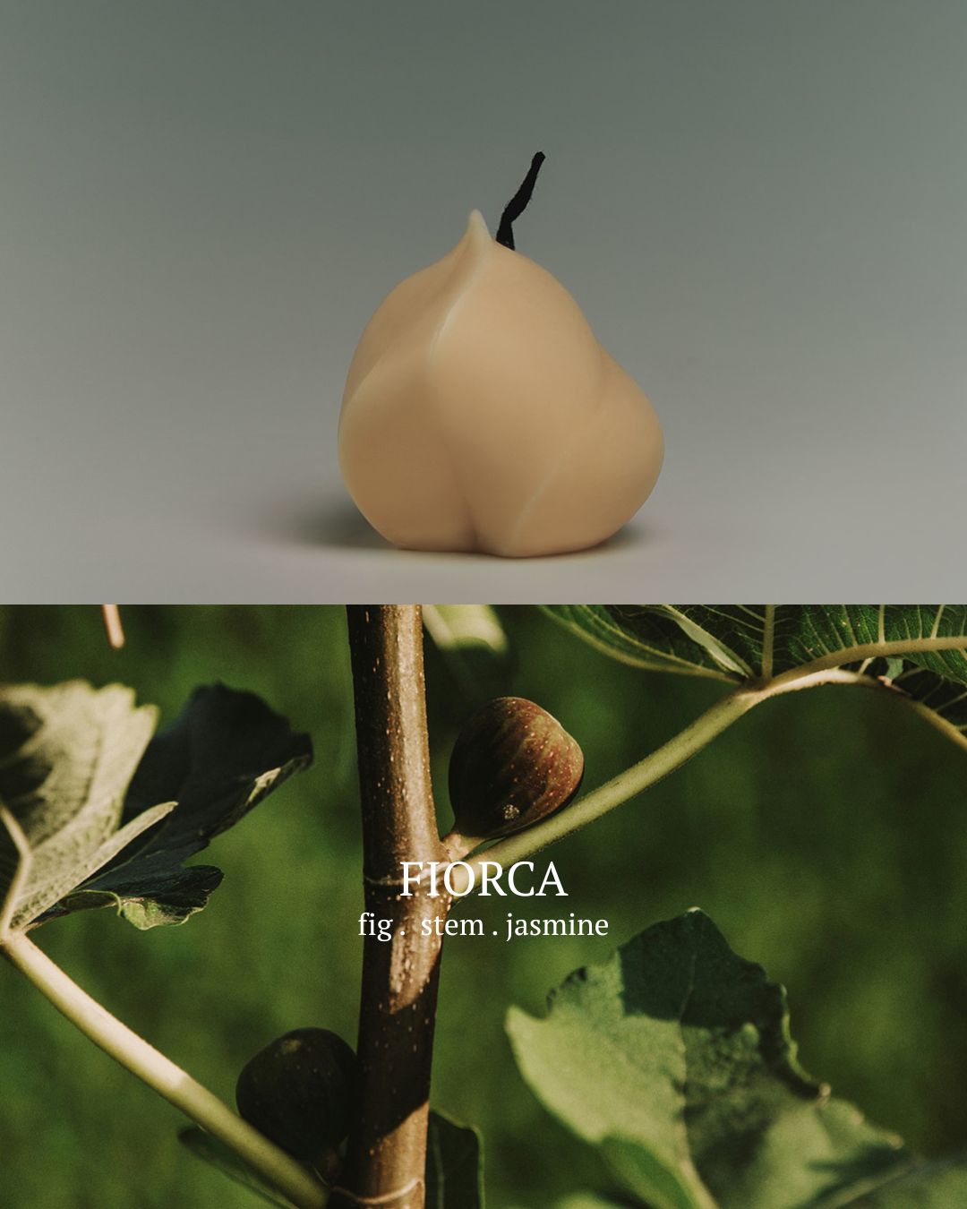 [PREORDER] Toai Diffusers (Dispatch Date: 23-27 Nov)