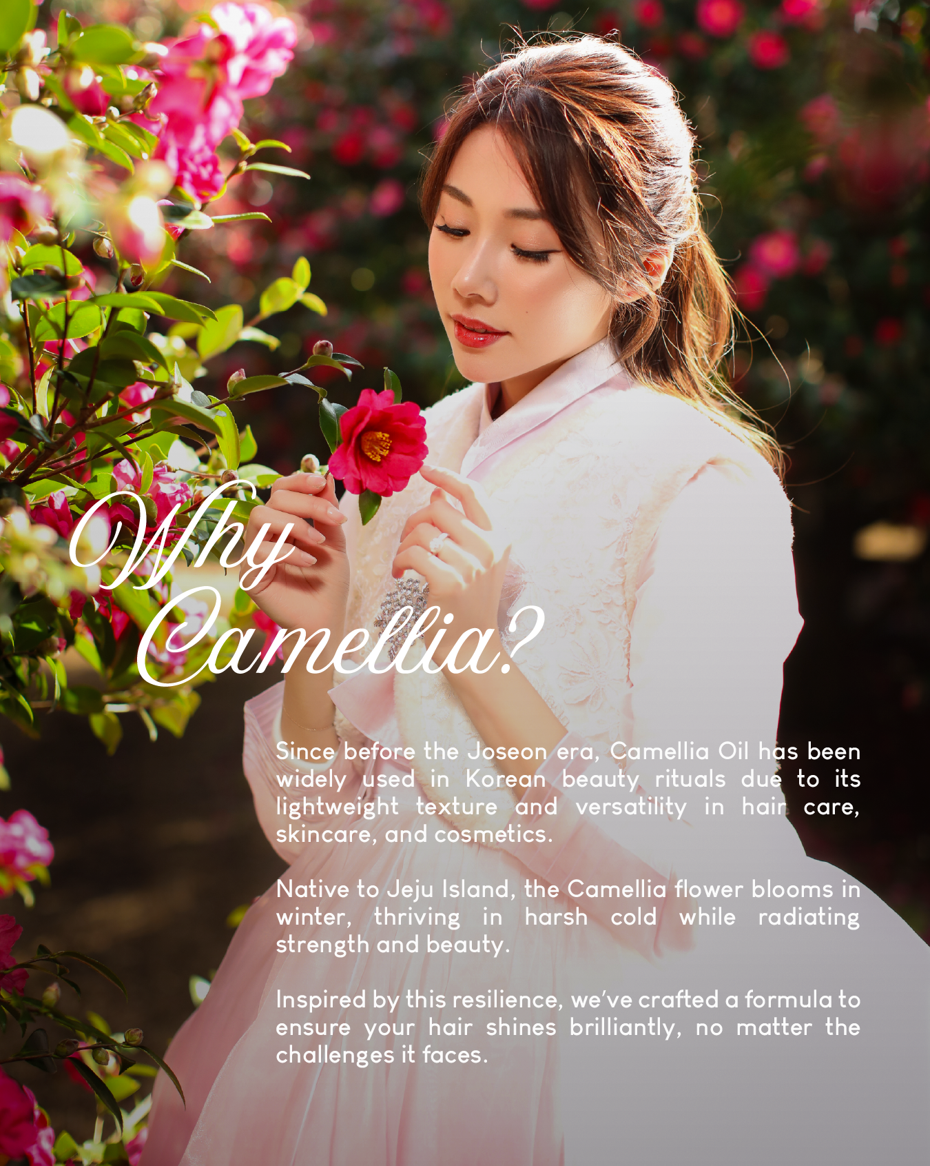 [PROMO] Jung Beauty 7 Second Instant Nourish Water Treatment for Hair & Scalp with Camellia Flower Oil