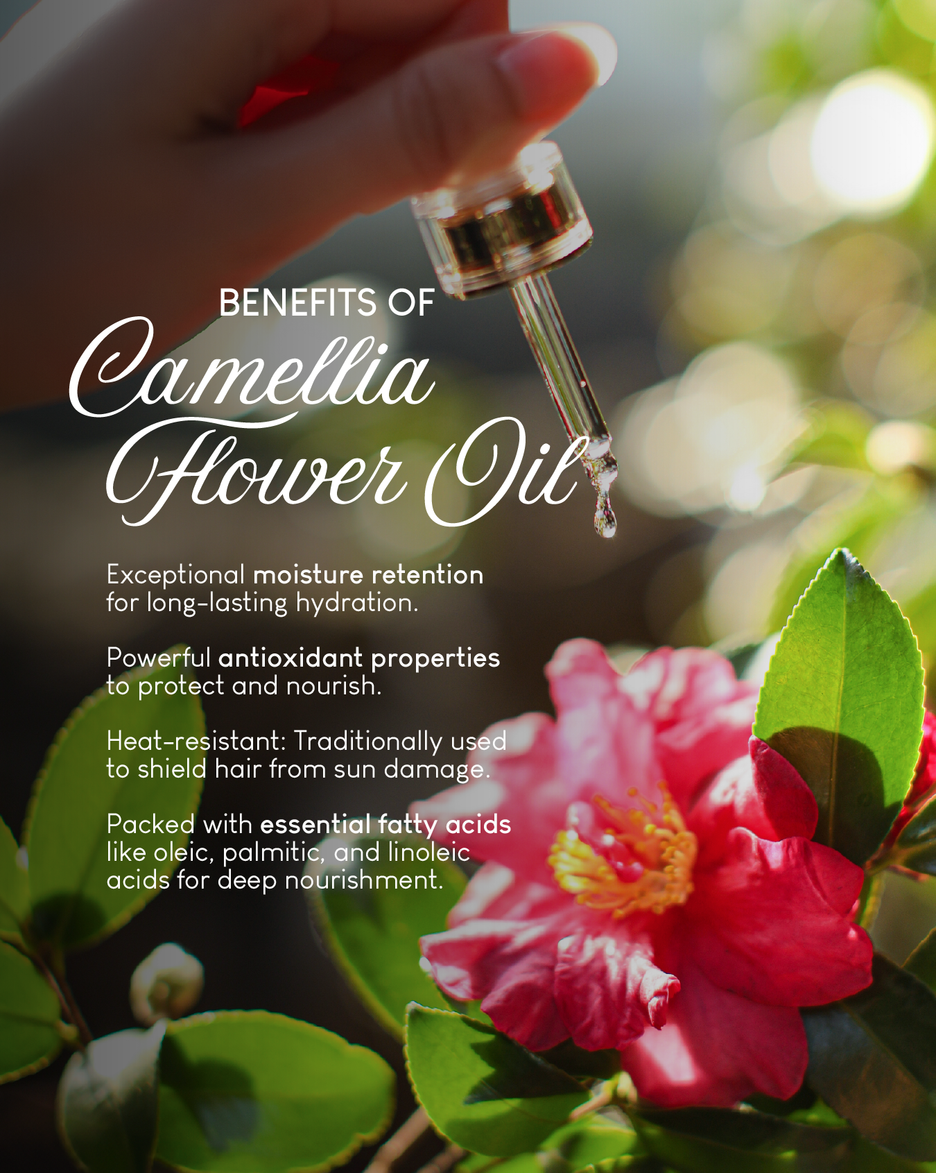 [PROMO] Jung Beauty 7 Second Instant Nourish Water Treatment for Hair & Scalp with Camellia Flower Oil