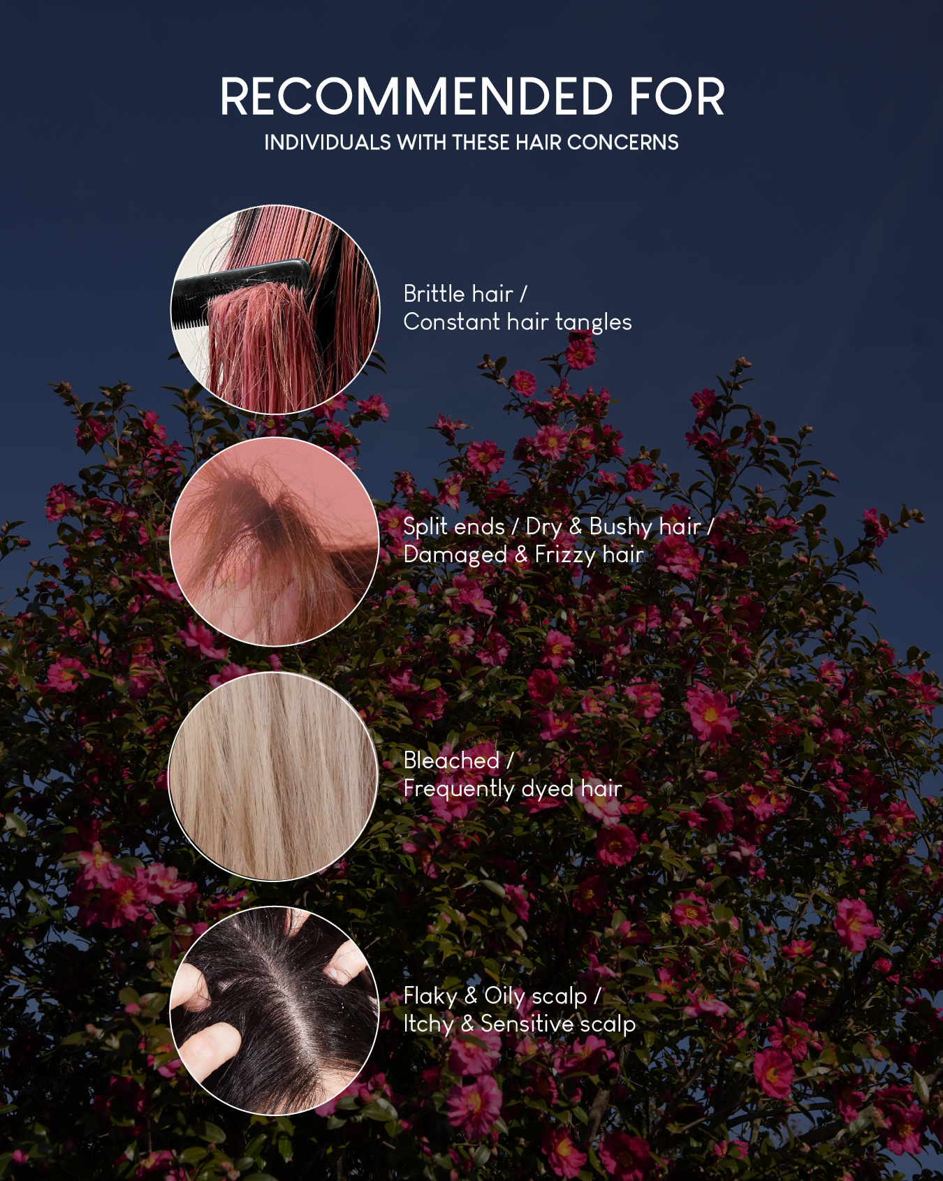 [PROMO] Jung Beauty 7 Second Instant Nourish Water Treatment for Hair & Scalp with Camellia Flower Oil