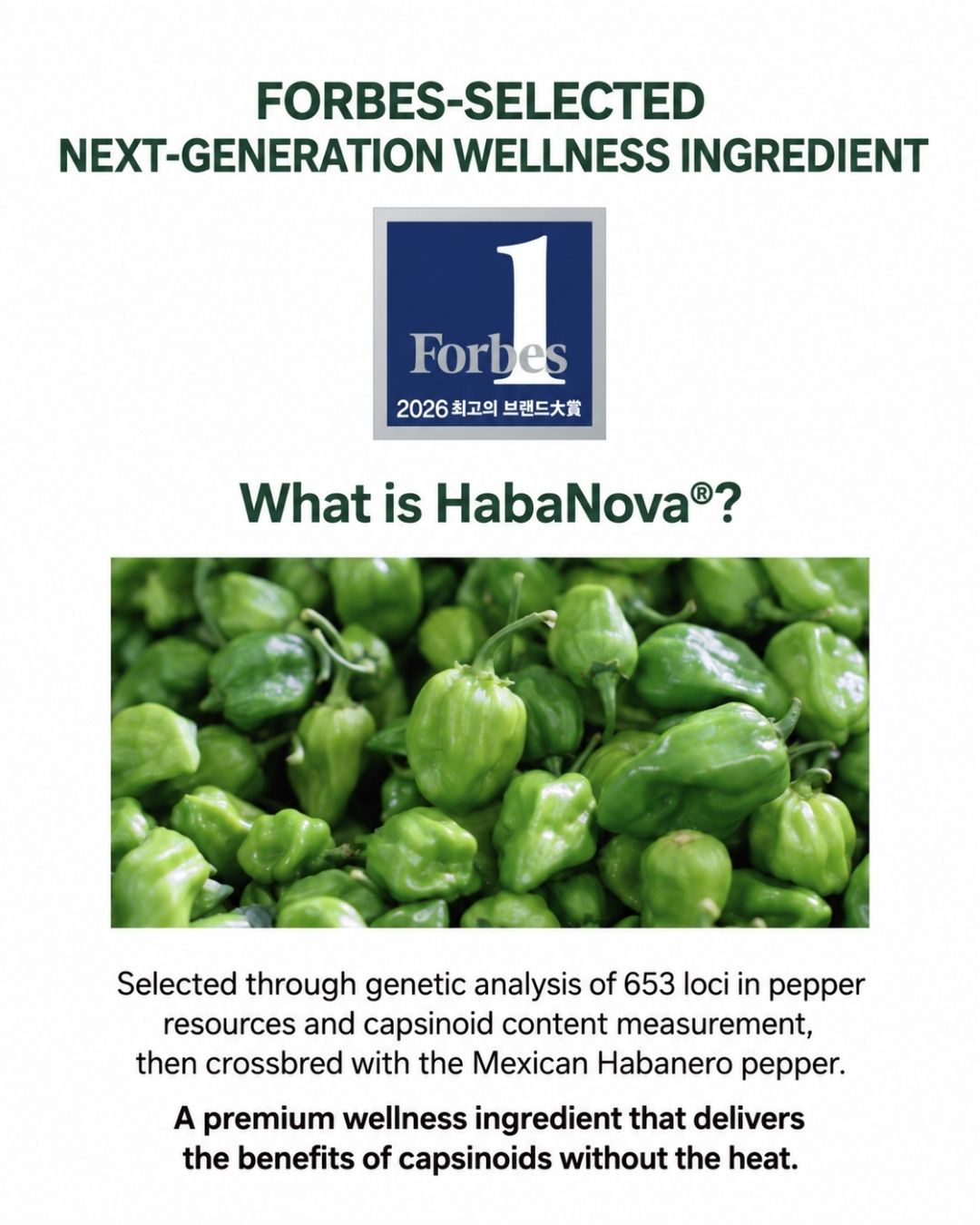 [PROMO] Lavien Perfect Habanoba Hot Burning Balance
