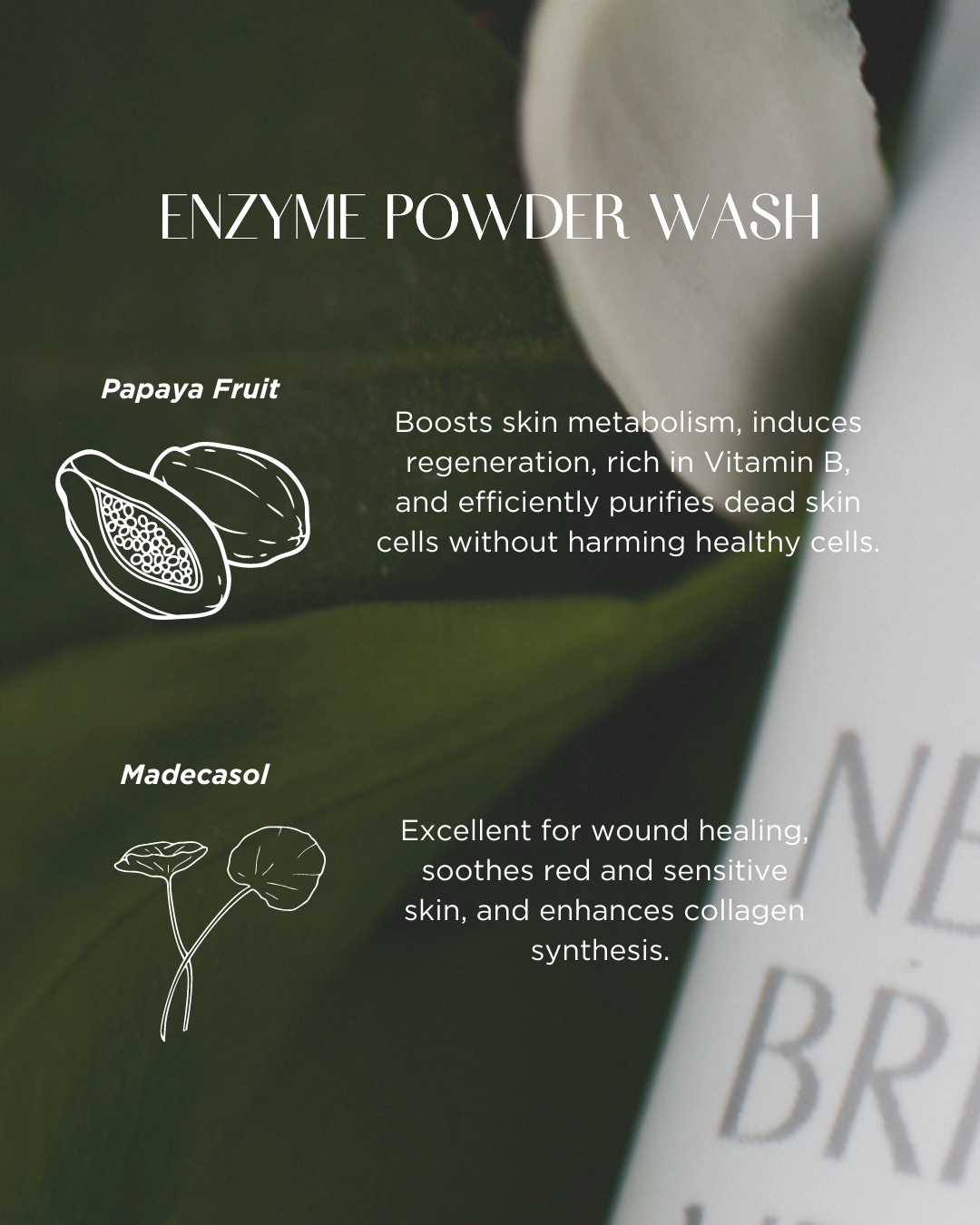 [PROMO] PINKWONDER Neroli Brightening Velvet Powder Wash