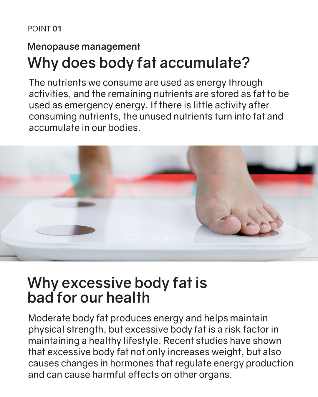[PREORDER] BNRThin Slim+ Probiotics (Room Temp)
