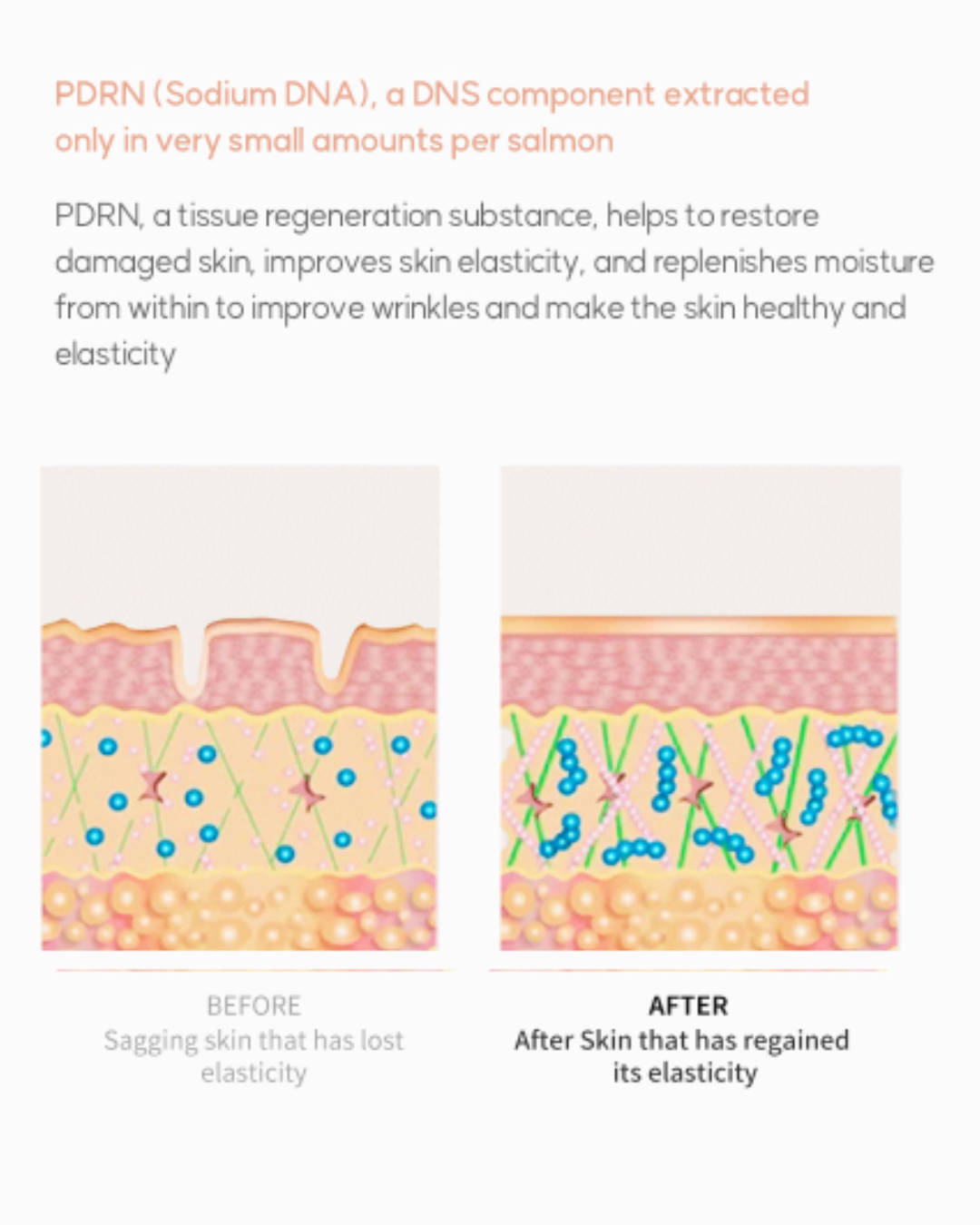 [PROMO] Dermaline PDRN Solution Salmon Ampoule (NEW!)