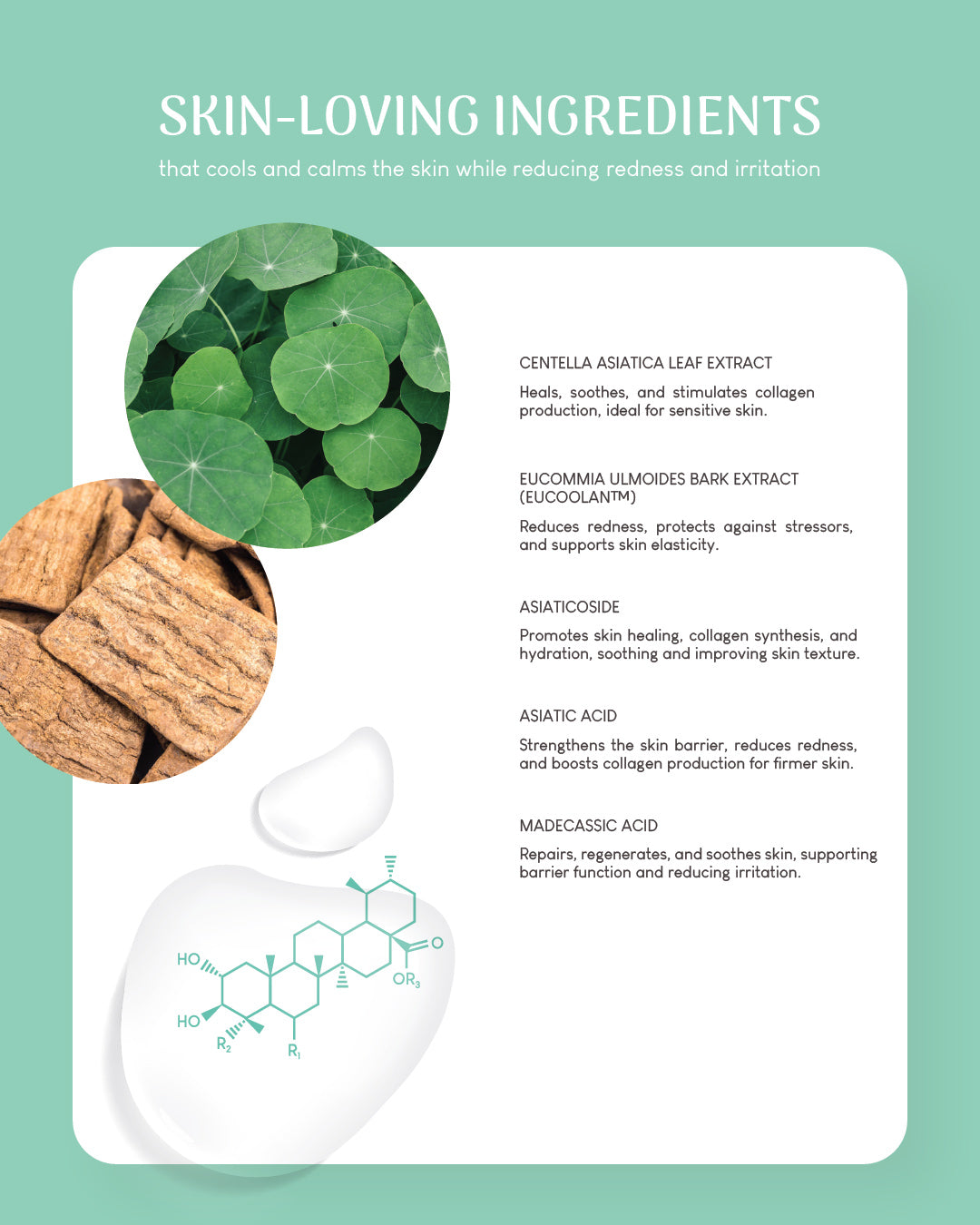 Jung Beauty Glow-Up Minis Kit