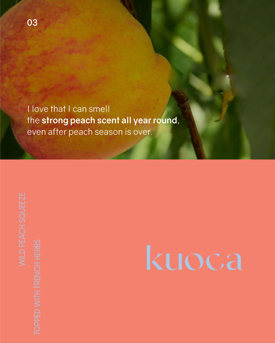 [PROMO] kuoca Hand Cream 50ml (4 scents)