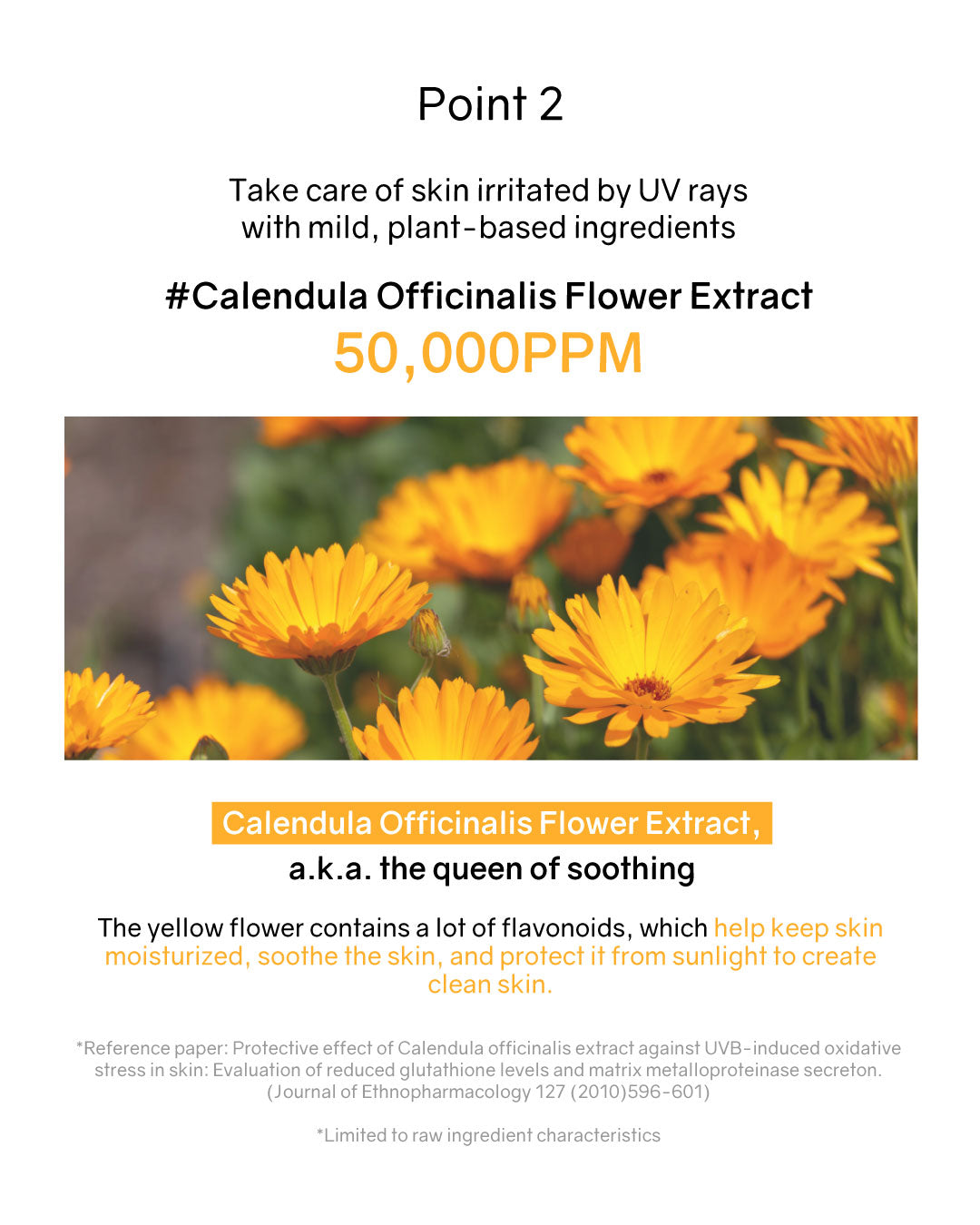 [PROMO] Lilibeth Sun Cushion