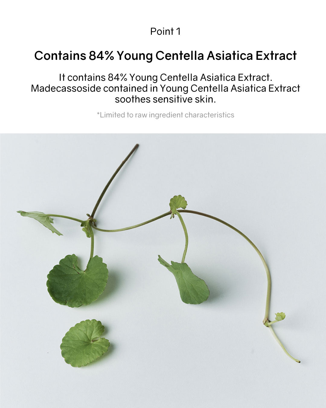 [PROMO] Luvum Calming Repair Cica Spot Pad