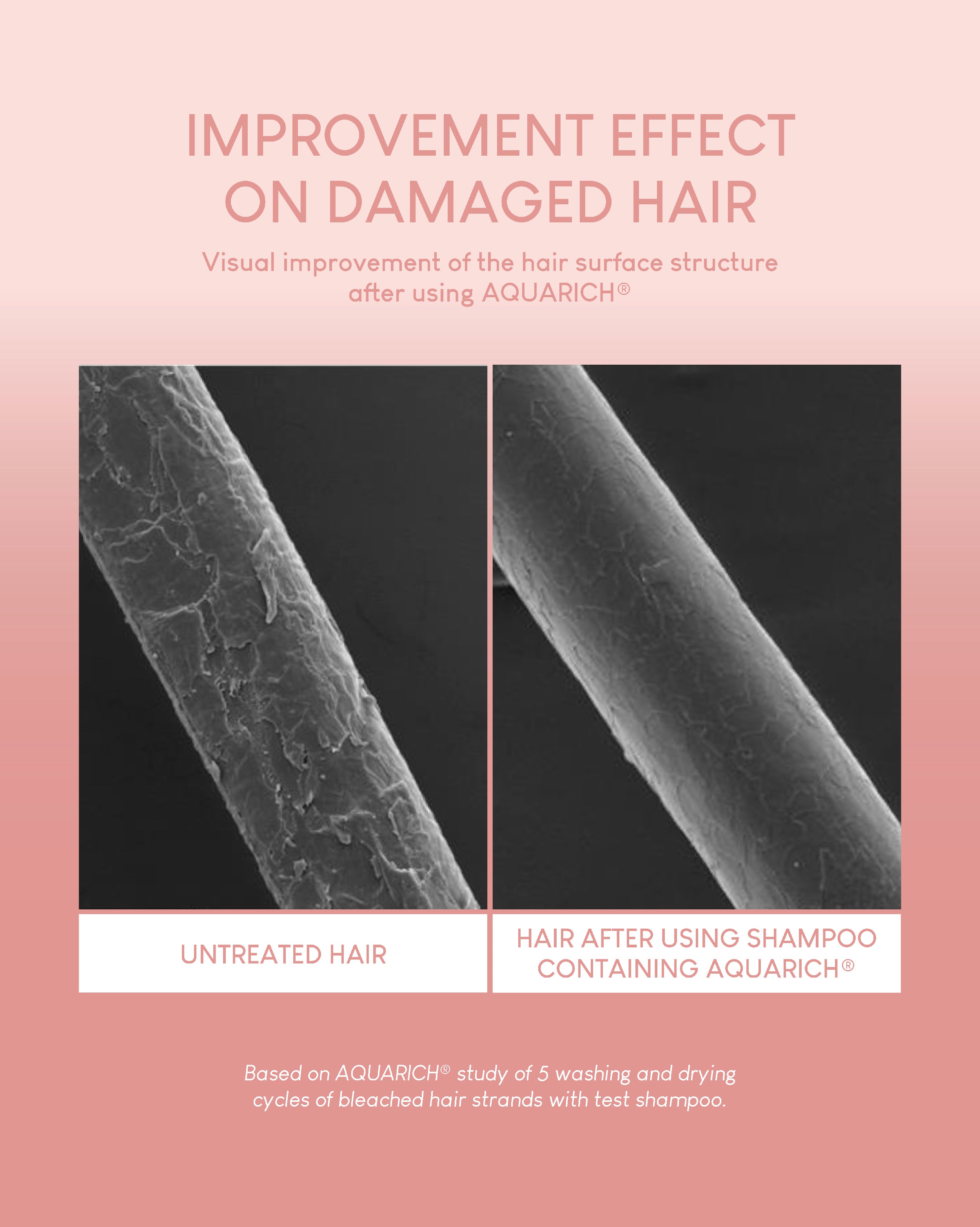 Jung Beauty Hair Care Power Trio