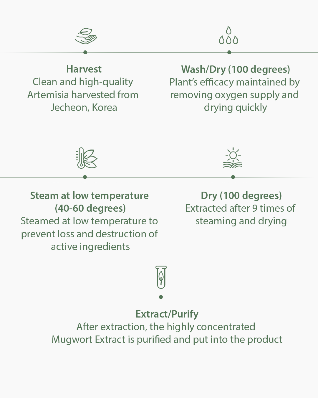 [PROMO] Lavien Perfect Balance Mugwort Calming Mask