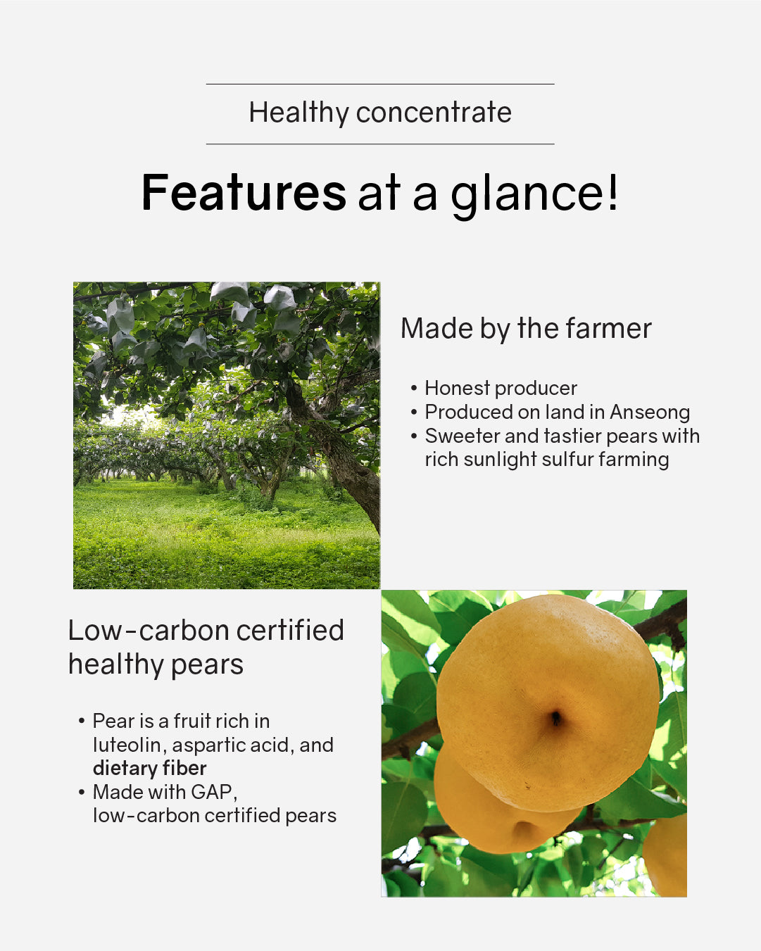 [PROMO] Cheongsum Fermented Pear & Bellflower Root Concentrate